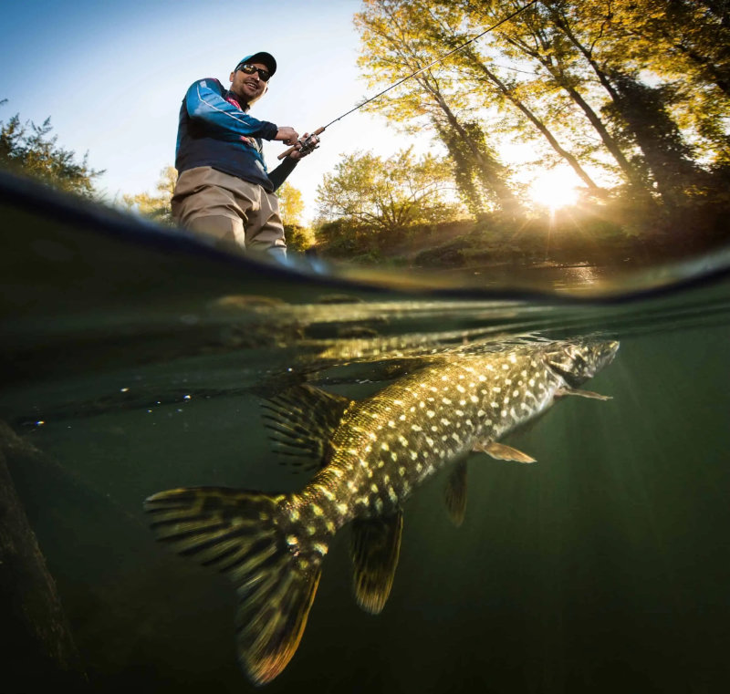 Réouverture de la pêche